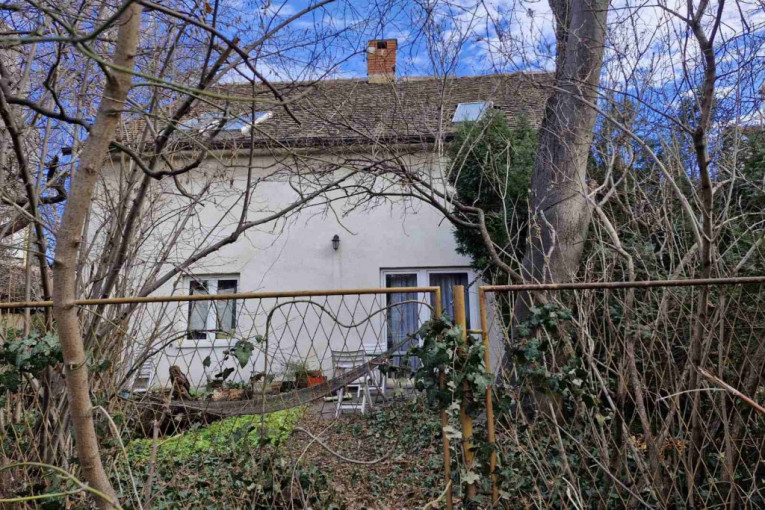 Sin ubio majku na Voždovcu