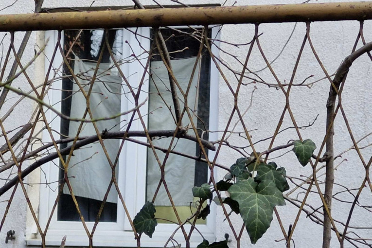 Sin ubio majku na Voždovcu