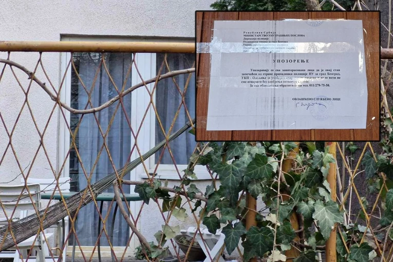 DAVID ZADAVIO MAJKU! Jezivi detalji zločina na Voždovcu: Obdukcija će odgonetnuti još jednu misteriju!