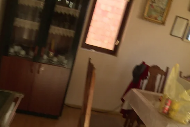 Jovana Tomić Matora kuća Ana Tomić majka Elita 8 Zadruga