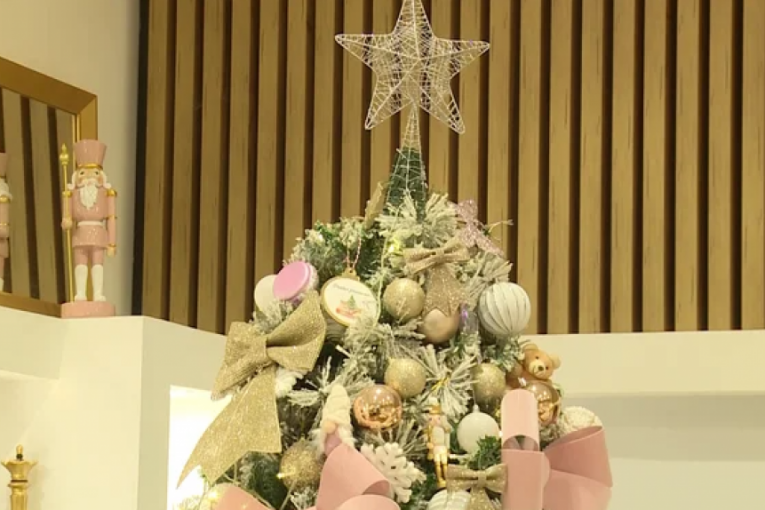 Renovirani stan Ane Radulović