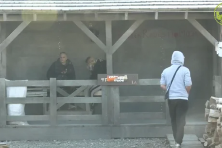 Luks pobesneo, napustio kuću