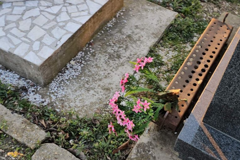 Silvana Armenulić grob Novo groblje rođendan