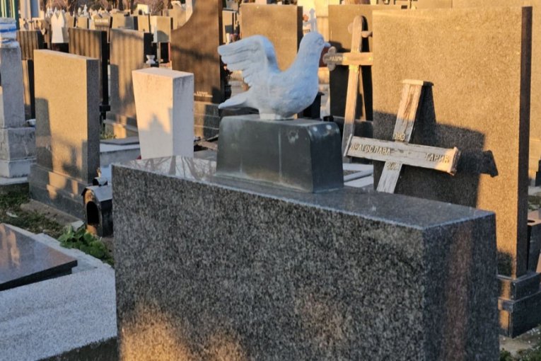 Silvana Armenulić grob Novo groblje rođendan