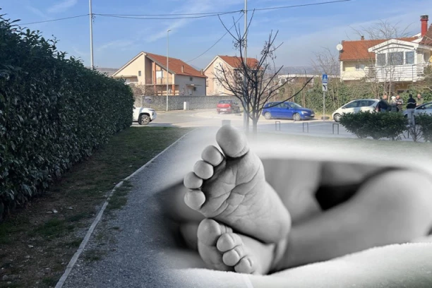 MRTVA BEBA PORED KONTEJNERA, KRV SVUDA OKOLO! Jezivi prizori u Novom Sadu! (FOTO)