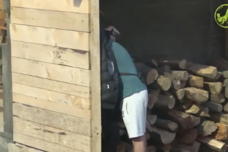 Aleksandra Jakšić i Stefan Stojanović