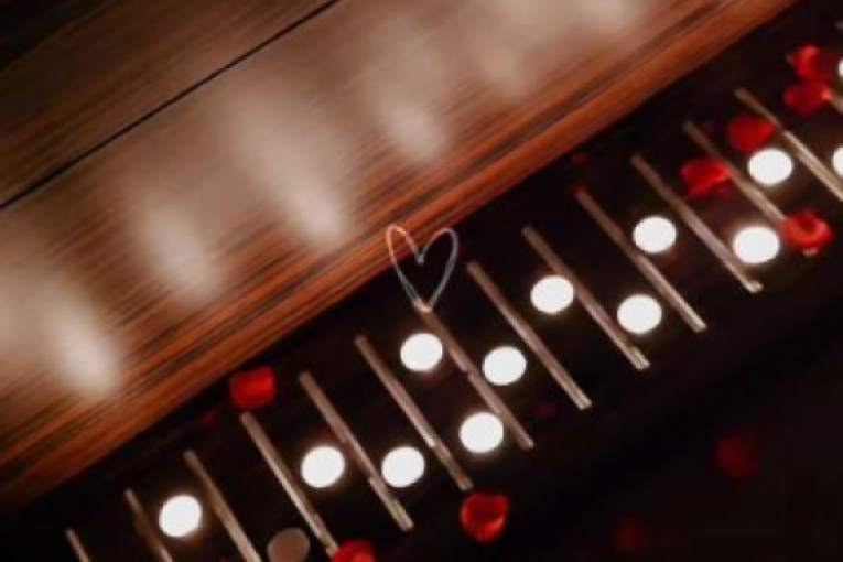 Godišnjica braka Slobe i Jelene Radanović