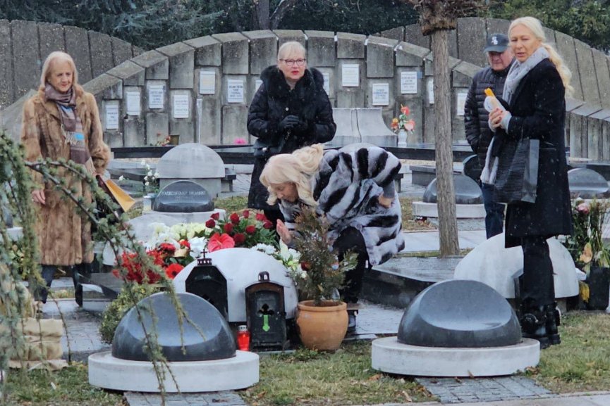 Pomen Šabanu Šauliću