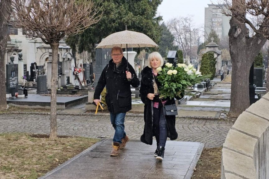 Pomen Šabanu Šaulića