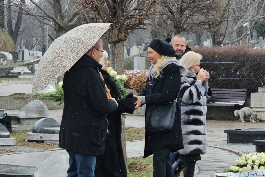 Pomen Šabanu Šauliću
