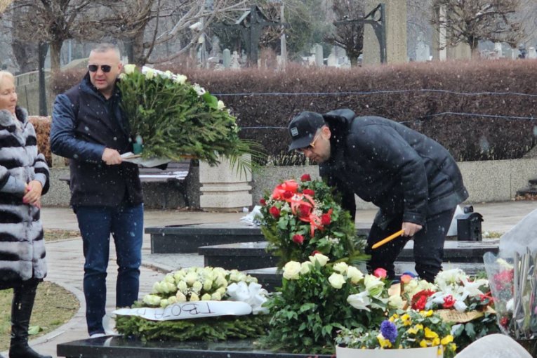 Pomen Šabana Šaulića