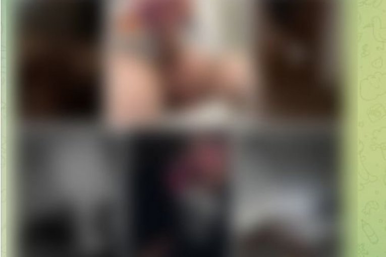 Telegram grupa Andreja Savkovića