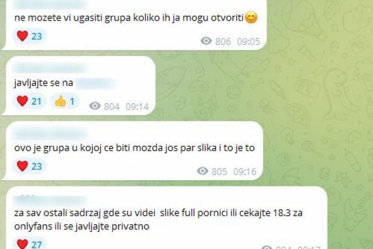 Telegram grupa Andreja Savkovića