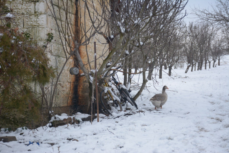 Dom Stefana i njegovog dede