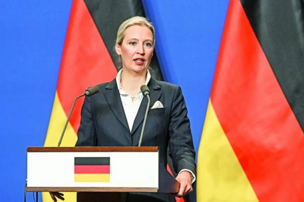 ŠOK U BERLINU! Nemački narod stao uz Alternativu za Nemačku