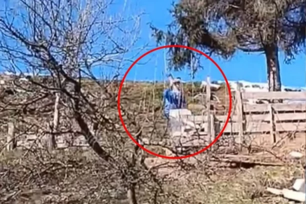 ŽENA SEKIROM KRVNIČKI UDARALA PSA! Ovo što je sad stiglo NIJE očekivala! (UZNEMIRUJUĆI VIDEO)