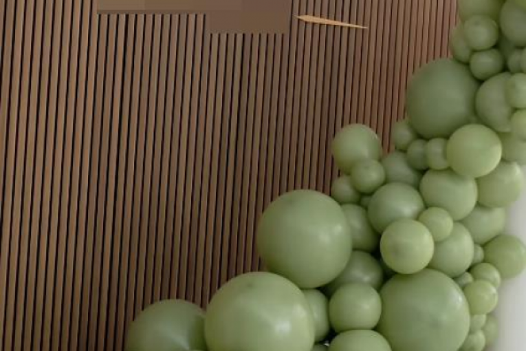 Dekoracija za Damjanov drugi rođendan