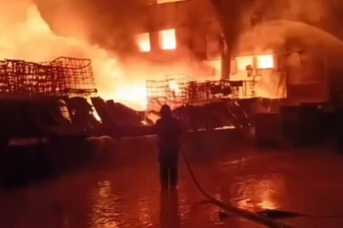 POŽAR GUTA  NASELJE VINCI KOD GOLUPCA, EVAKUACIJA NARODA U TOKU! Već izgorelo 50 vikendica, ljudi gledaju i plaču! PODIGNUTI I HELIKOPTERI! (VIDEO)