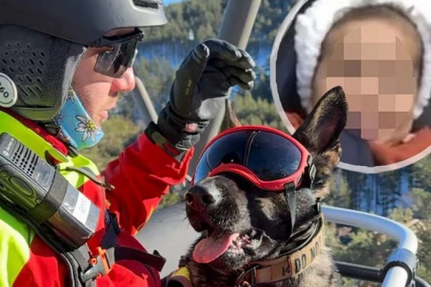 ONA JE NJENA SPASITELJKA! Ovo je PAS koji je pronašao nestalu devojčicu - ženka po imenu IKONA prva došla do deteta! (FOTO)
