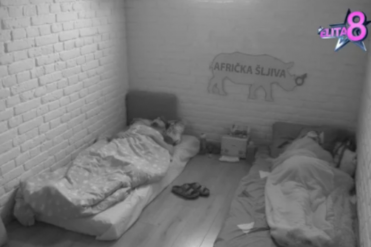 Sofija Janićijević i Nenad Marinković Gastoz