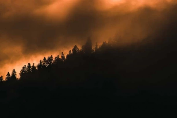 AKTIVIRAN NATO I EU MEHANIZAM POMOĆI! Crna Gora u paklu požara, situacija nikad gora! ZATVOREN I PUT PODGORICA-NIKŠIĆ!