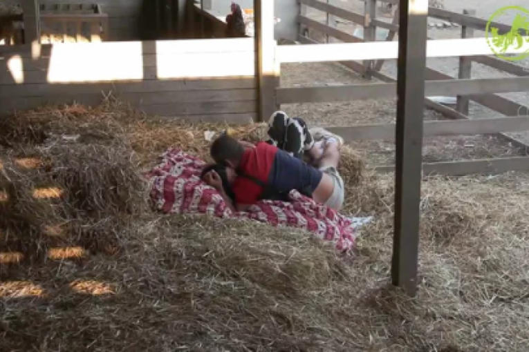 Aleksandra Jakšić i Stefan Stojanović