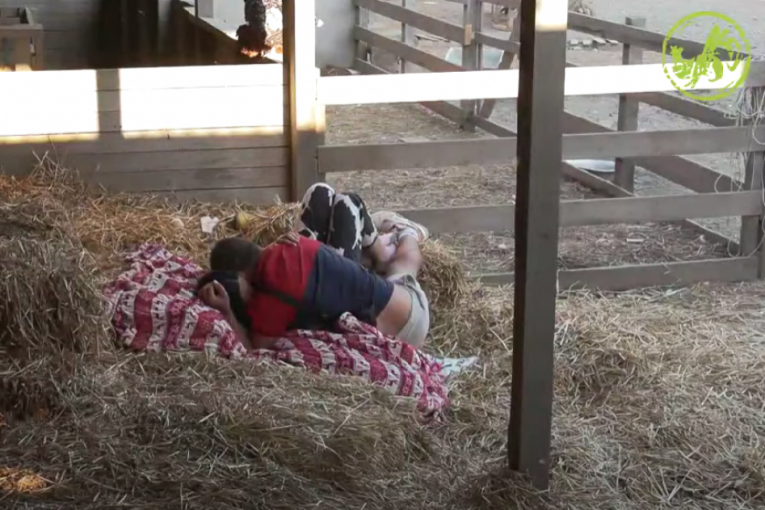 Aleksandra Jakšić i Stefan Stojanović