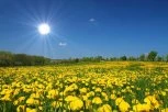 PONOVO SUNČANO I TOPLO: Temperatura skoro 30 stepeni, a evo kad nam opet dolazi kiša