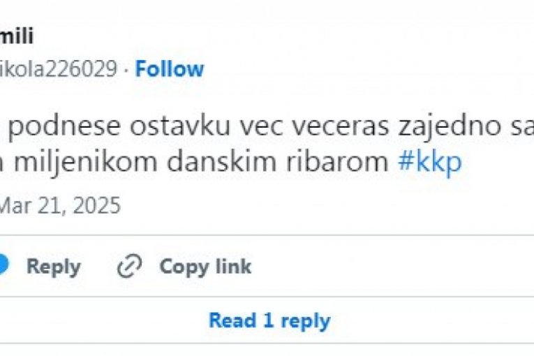 Grobari traže hitnu reakciju