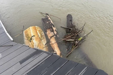 TONE SPLAV NA SAVI! Drama u Beogradu!