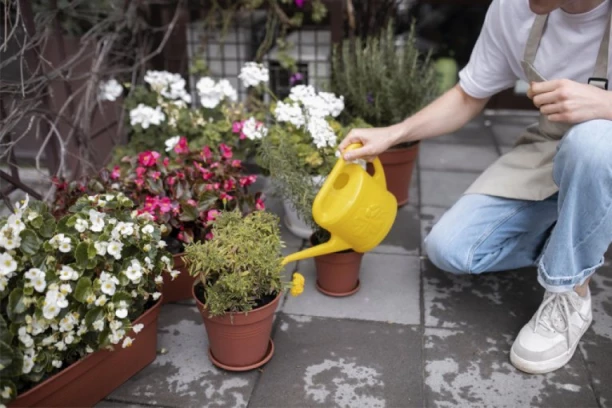 NOVA PRAVILA ZA OTVARANJE PROZORA I ZALIVANJE CVEĆA U ZGRADAMA: Nema više pranja automobila, a PROSLAVE OGRANIČENE