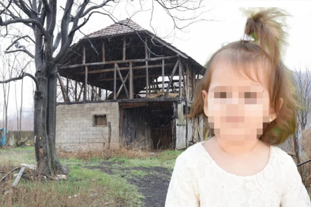 NOVA REKONSTRUKCIJA! ISTINA O NESTALOJ DEVOJČICI IZ BORA DANAS KONAČNO IZLAZI NA VIDELO! ČITAJTE U SRPSKOM TELEGRAFU!