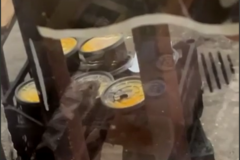 FILOLOŠKIM FAKULTETOM ŠETAJU PACOVI, UMESTO STUDENATA! Pogledajte sliku i priliku opozicije i blokadera! (VIDEO)