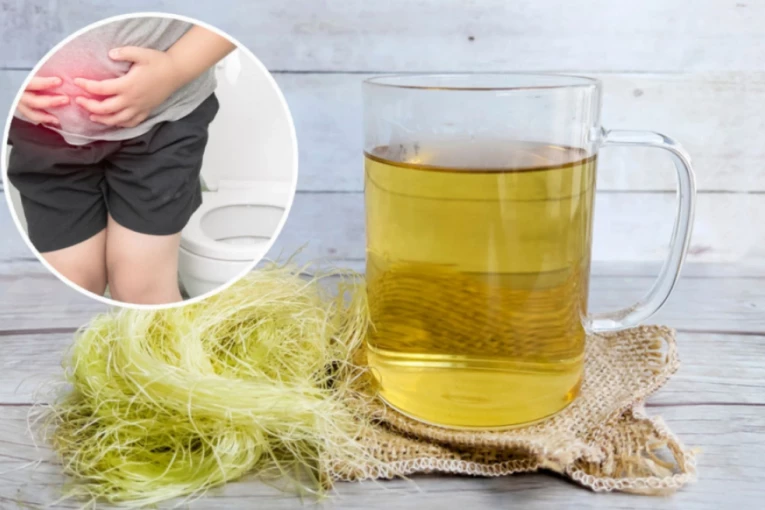 OVO JE NAJJAČI PRIRODNI DIURETIK - a nemilice ga BACAMO u đubre: Malo ko zna da ČISTI organizam od bakterija!