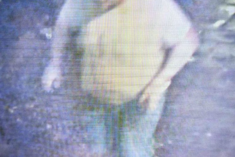 Potraga za licima koja su pretukla mladiće!!