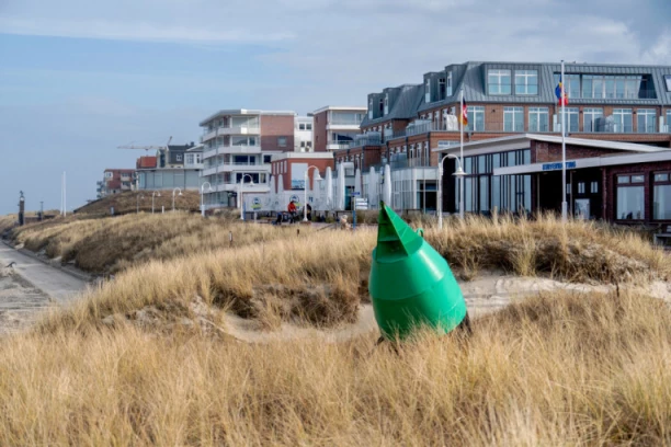 NI KRITERIJUMI NISU BAŠ VISOKI! Nemački grad Vagenroge traži gradonačelnika putem oglasa u novinama