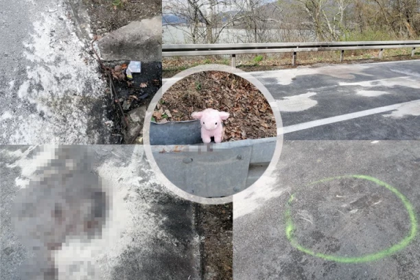 SCENE NA MESTU NESREĆE KOD DONJEG MILANOVCA KIDAJU DUŠU! Ovde je devojčica poginula sa ocem, IGRAČKA OSTALA NA PUTU! (FOTO, VIDEO)