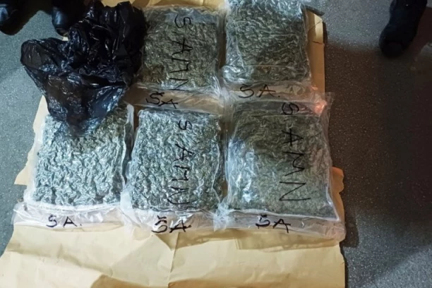 POLICIJA U KRALJEVU RAZOTKRILA LABORATORIJU KANABISA! Uhapšen S.M. (43), pronađeno 99 semenki marihuane i oprema za uzgoj!