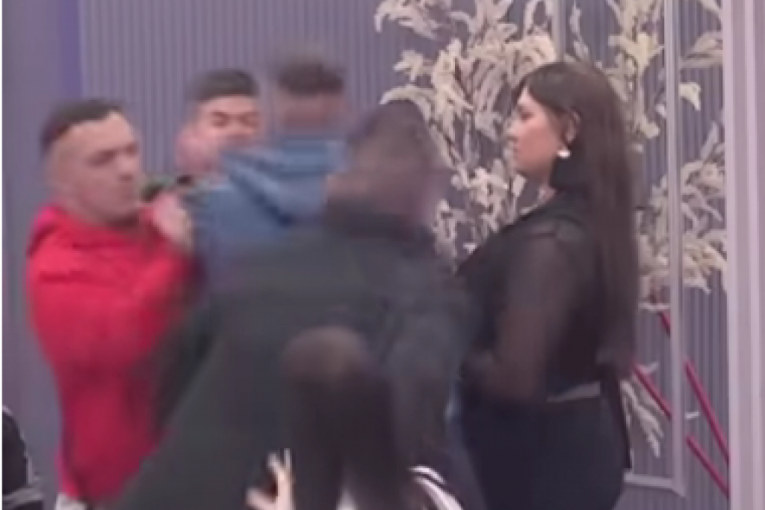 Elita 8 Zadruga najnovije vesti