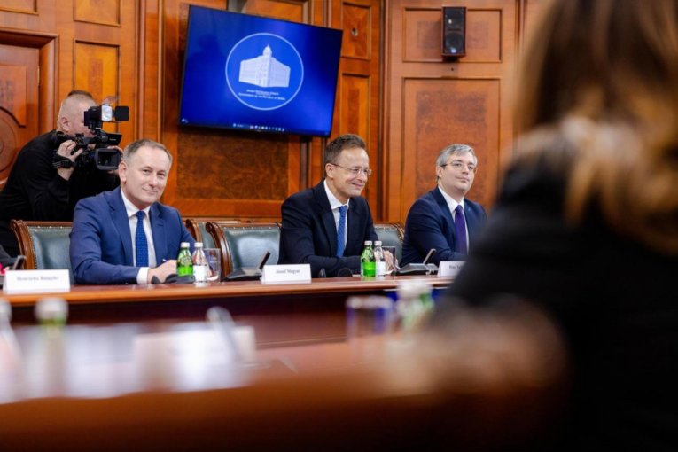 Dubravka Đedović Handanović