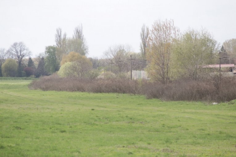 Mesto gde je pronađeno Jelenino telo