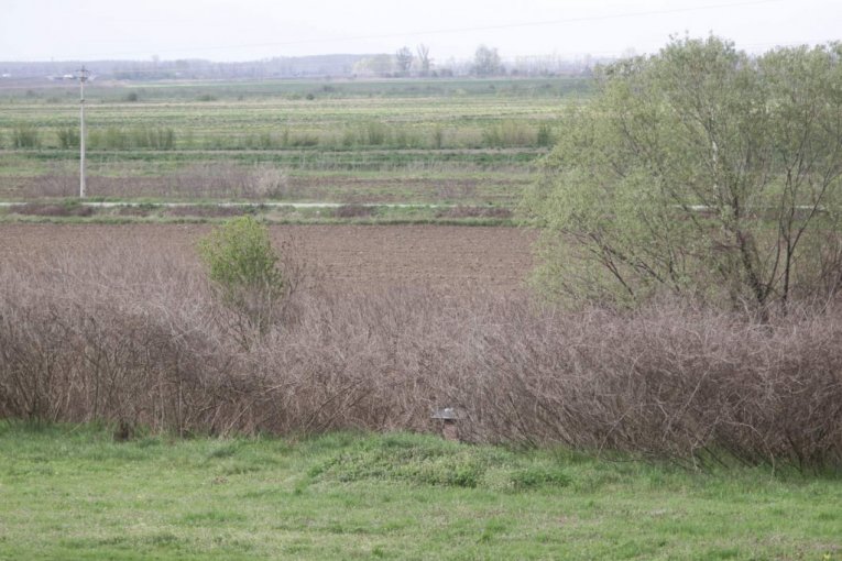 Mesto gde je pronađeno Jelenino telo