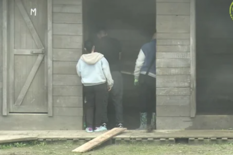 Krisitjan Golubović Farma 8