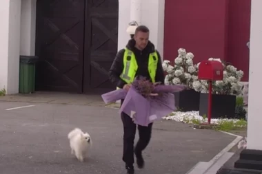 OBEZBEĐENJE ULETELO NA IMANJE ZBOG ENE ČOLIĆ! Tresla se kada je OVO ugledala na vratima kuće, vanredno SAOPŠTENJE u rijalitiju! (VIDEO)