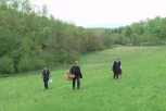 SVI HRLE NA OVO MESTO I U DŽAKOVIMA BERU BILJKU OD KOJE MONAŠTVO PRAVI LEK: Obnavlja celo telo i daje "medveđu snagu"