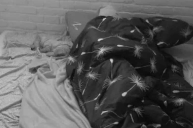 Aneli Ahmić i Luka Vujović