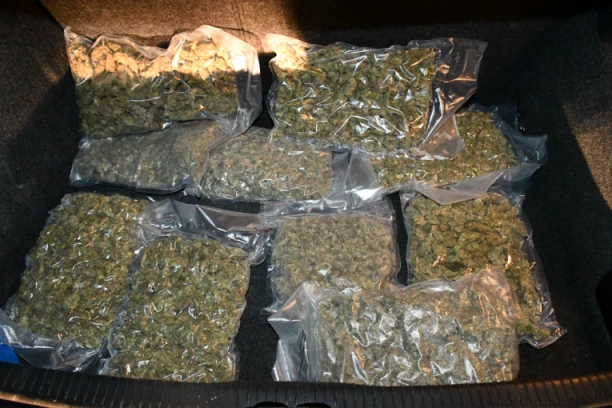 DILERI DROGE PALI U NIŠU! Policija im u stanovima pronašla 12 kilograma marihuane, 700 grama kokaina i novac (FOTO)