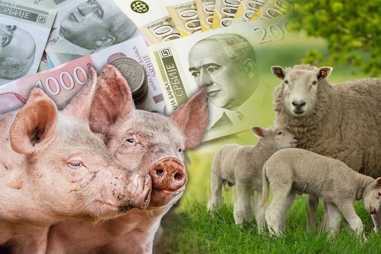 STOKA PRED PRAZNIKE NA CENI: Velika potražnja diktira tržište