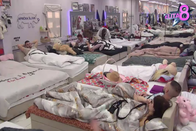 Rada Vasić, Lazar Čolić Zola