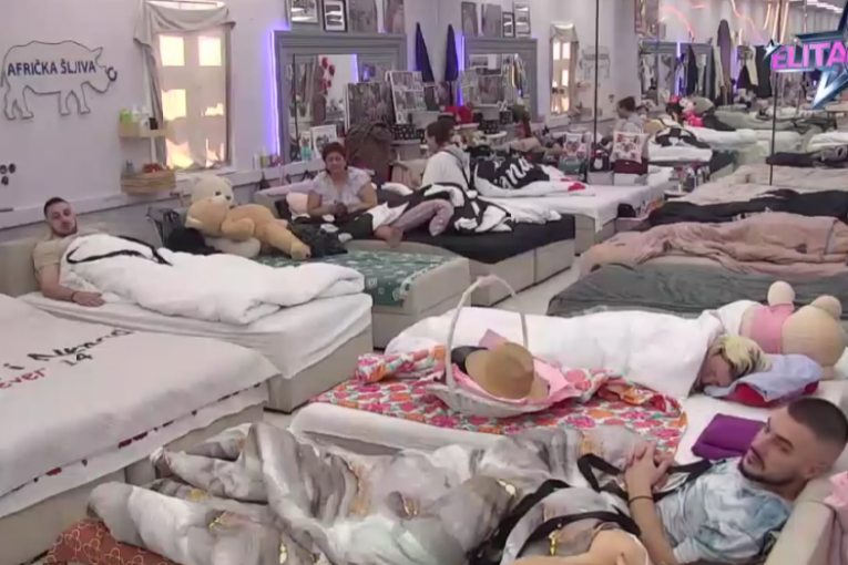 Rada Vasić, Lazar Čolić Zola